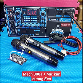 Mua Mạch Loa Kéo thế hệ mới  DSP  Time Reverb - 4 tấc đôi - 5 tấc đơn - Nguồn Xung 100~240vC -( CÓ LỰA CHỌN KÈM MIC hoặc KHÔNG MIC)