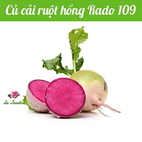 Hạt giống Củ cải ruột hồng Rado 109 gói 1gr