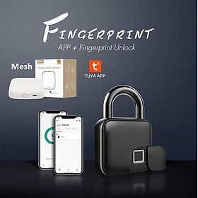 Mua Ổ Khóa Vân Tay Thông Minh L3 Kết Nối App Tuya cho điện thoại   máy tính bảng hàng nhập khẩu
