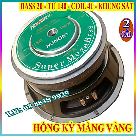 CẶP BASS 20 HỒNG KÌ VÀNG TỪ 140 COIL 41 CAO CẤP HÀNG CHÍNH HÃNG - GIÁ 2 CÁI