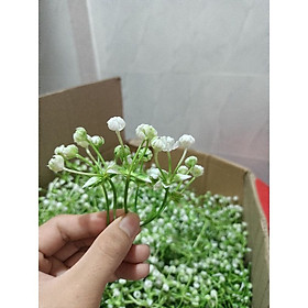 Mua (chọn mẫu)1 bịch ngọn cỏ điểm cắm hoa sáp hoa pha lê phk shop