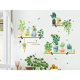 Giấy dán tường hình KỆ CHẬU CÂY RAU MÁ