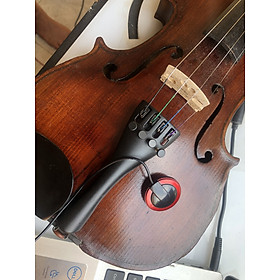 Mua Pickup Violin không bị hú khi chơi Violin