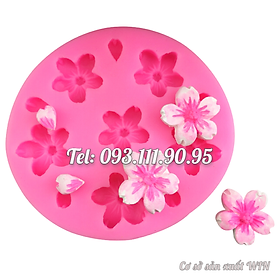 Mua Khuôn silicon làm rau câu 6 hoa mai  hoa đào - Mã số 1277