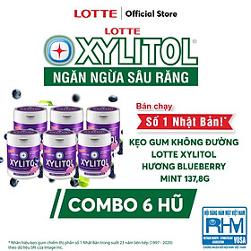 Combo 6 hũ Kẹo Gum không đường Lotte Xylitol - Hương Blueberry Mint 137,8 g