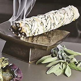 Mua Xô thơm White Sage (Sái Tịnh Hương) California