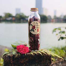 Trà hoa hồng nguyên bông sấy khô Mộc Hương