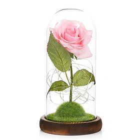 Hoa hồng giả dễ thương trong lồng kính, có đèn LED, làm quà tặng, trang trí-Màu Hồng