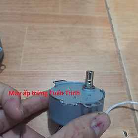 Mua Motor đảo trứng