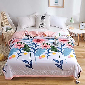 Chăn hè đũi siêu mềm mịn (được chọn màu )