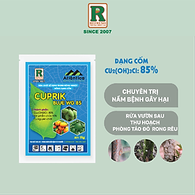 Phân bón gốc đồng CUPRIK W.G BLUE 1Kg phục hồi cây, phòng trị vi khuẩn, tảo, rong, nấm bệnh