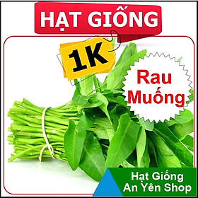 Hạt Giống 1K trồng thử Rau Ăn Lá, năng suất cao, dễ trồng, thu hoạch sớm