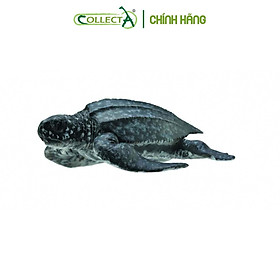 Mô hình thu nhỏ Rùa Da - Leatherback Sea Turtle, hiệu CollectA