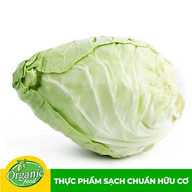 Bắp cải tim hữu cơ Organicfood - 350g