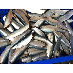 CÁ TRÍCH TƯƠI - 0.5kg