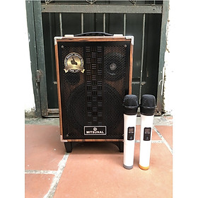 Mua Loa kéo karaoke cao cấp Mitsunal M8  Có Mic Bass  Mic Tress  Delay - Hàng chính hãng