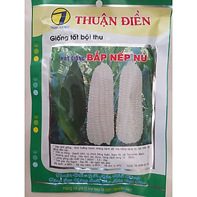 Hạt giống bắp nếp nù Thuận Điền gói 100g