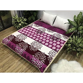 Mua Thảm nhung trải giường loại 1m6 x 2m loại chuẩn đẹp