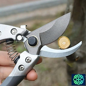 Kéo Cắt Cành Cây Nhật Bản Cao Cấp - Kéo SK cắt cây đa năng