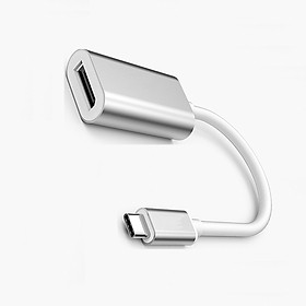 Cáp Chuyển Đổi USB Type-C Sang Displayport 40372 (15cm)