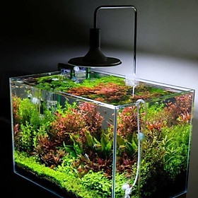 Mua Led Đĩa XIMA 20w/40w