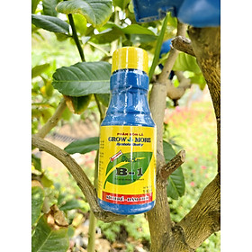 Phân bón lá B-1 chai 100ml
