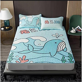 CHIẾU ĐIỀU HÒA CAO SU NON (1 CHIẾU +2 VỎ GỐI) -TM49