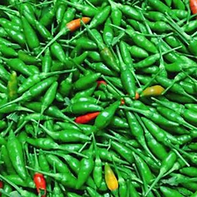 Mua Combo 3 gói Hạt giống ớt thóc (ớt xiêm rừng)-gói 30 hạt/tặng kèm gói phân bón lót