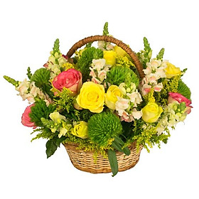 Mua Giỏ Hoa Tươi - Nắng 3979