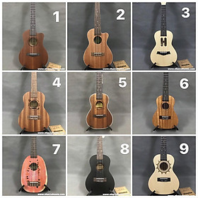 Mua ĐÀN UKULELE 23INCH GỖ MAHOGANY MỚI