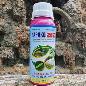 Mua Yapoko 250SC 250ml chuyên trừ rầy phấn trắng  rầy xanh  rầy nâu  bọ xít trên cây trồng
