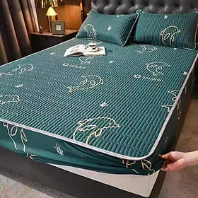 Mua CHIẾU ĐIỀU HOÀ CAO SU NON BO CHUN HÀNG NHẬP KHẨU CAO CẤP