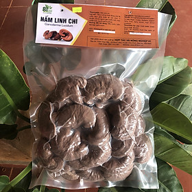 Nấm Linh Chi Đỏ Nguyên Bào Tử 500 Gram 