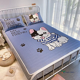 Mua Chiếu Điều Hòa Cao Su Non Thái Lan Hàng Loại Đẹp Chất Mát Lạnh