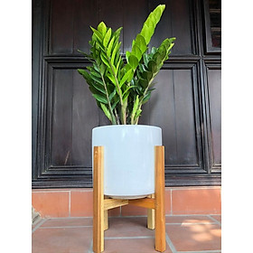 Kệ gỗ cho chậu cây