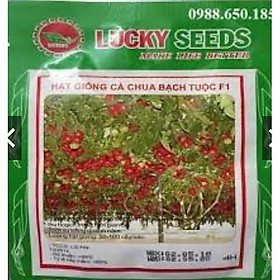 Mua HẠT GIỐNG CÀ CHUA BẠCH TUỘC LEO GIÀN LUCKY GÓI 4H