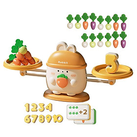Balance Math montessori Toys Stem Toys for Teaching