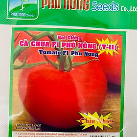 Mua Hạt giống cà chua chịu nhiệt