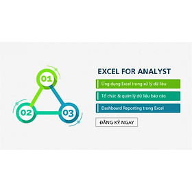 Khóa học Combo 3 Excel for Analysts