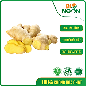 Chỉ Giao HCM - Gừng Túi 200g