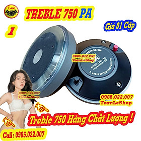 Mua 02 TREBLE 750 P A CÔN DET - CỦ KEN SÂN KHẤU – LOA TREP 750 -  GIÁ 01 CẶP LOA