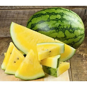 Mua Giống dưa hấu ruột vàng siêu ngọt ít hạt
