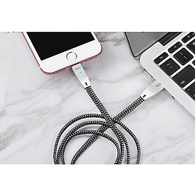 Dây Cáp Sạc Tự Ngắt Khi Pin Đầy Cho IPhone - IPad - Hoco U11 (1M2) Giao màu ngẫu nhiên - Hàng Chính Hãng