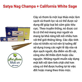 Thanh nhang Satya thanh tẩy Kết hợp của Nage Champa và white sage