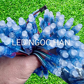Mua 50 Led full color ic 1903 làm phá.o hoa (khoảng cách bóng 8cm)
