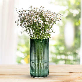 Glass Flower Vase Holder  Plant Holder for Birthday Indoor Desktop
