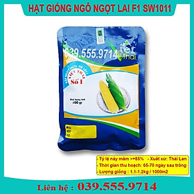 Hình ảnh Hạt Giống Ngô Ngọt Việt Thái F1 Gói 100gram - Hạt Bắp to đều, hạt chắc, ăn ngọt