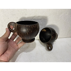 Mua LY UỐNG BIA CÓ TAY CẦM – LÀM TỪ GÁO DỪA. MSP 464