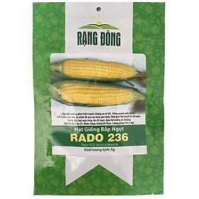 Hạt giống bắp ngọt Rado 236