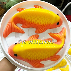Mua Khuôn ép xôi  giò chả  khuôn làm bánh  rau câu hình cá chép – Mã số 1191